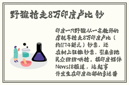 欧美 日韩 精品 另类视频